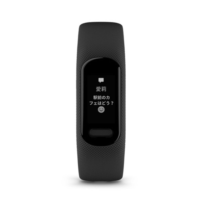 GARMINiK[~j vivosmartiBHX}[gj5 010-02645-64