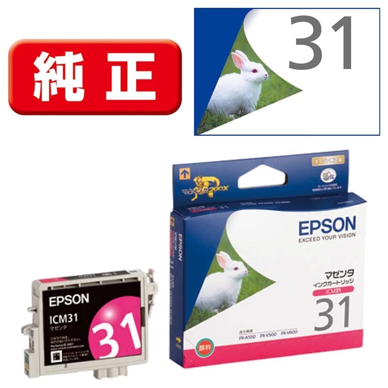 EPSONiGv\j CNJ[gbW ICM31