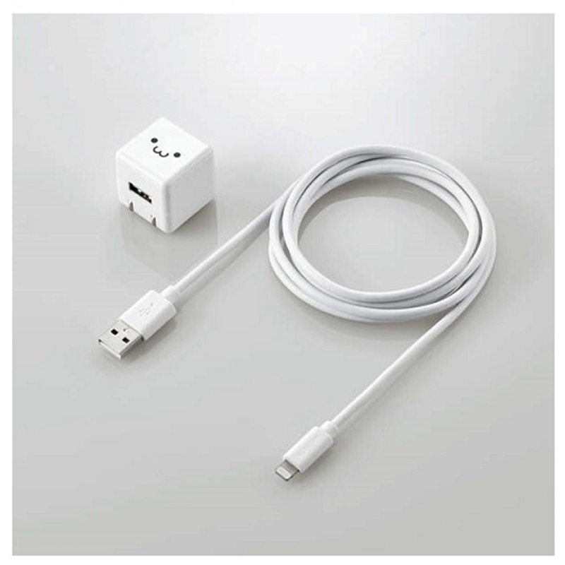 GR 5W LightningP[ut AC[d MPA-ACL05WF