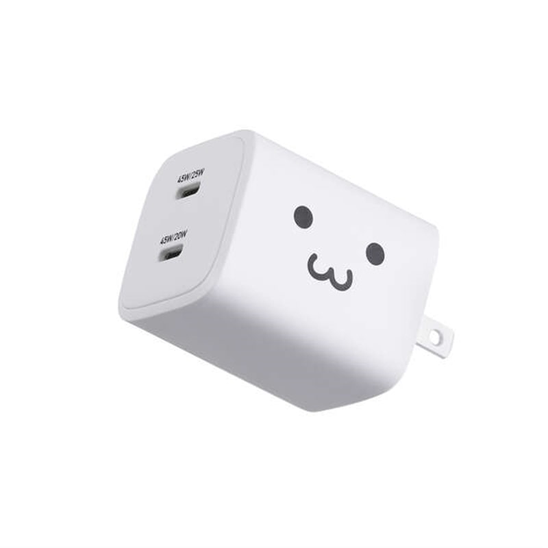 GR USB Power Delivery 45W AC[d(C×2) MPA-AC10945WF