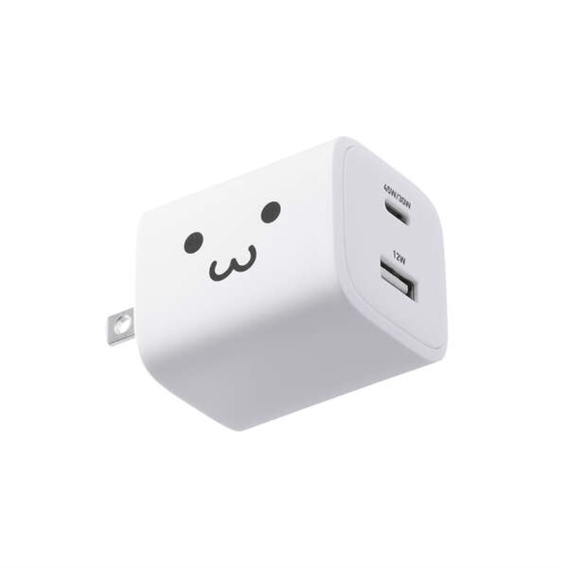 GR USB Power Delivery 45W AC[d(C×1+A×1) MPA-AC11045WF