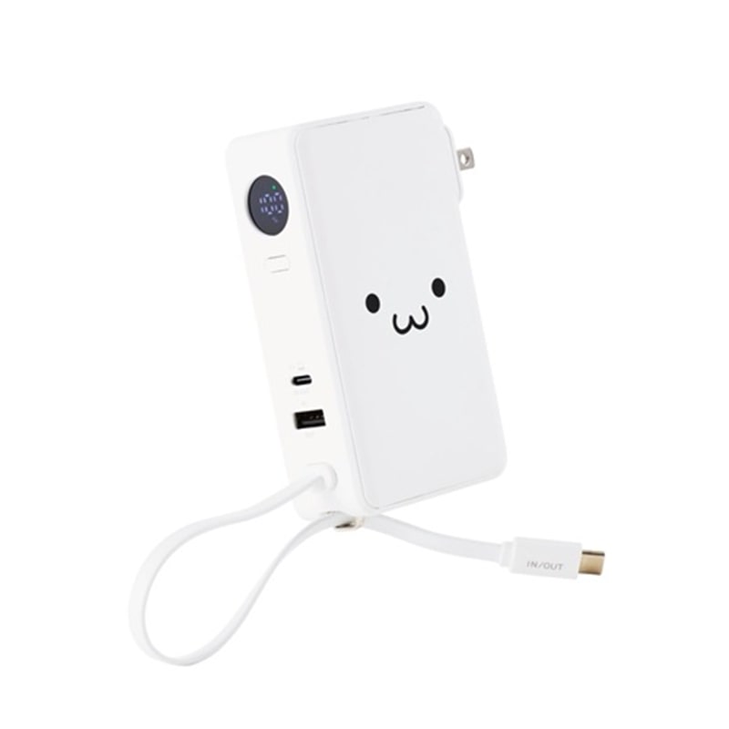 �G���R��&nbsp;AC�[�d��EUSB Type-C�P�[�u����̃��o�C���o�b�e���[&nbsp;DE-AC16-10000WF