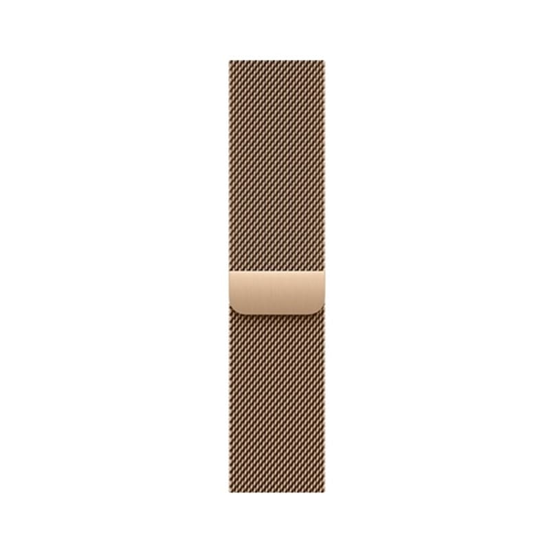 AppleiAbvj Apple Watch 46mmP[Xp@~l[[[v MC7K4FE/A