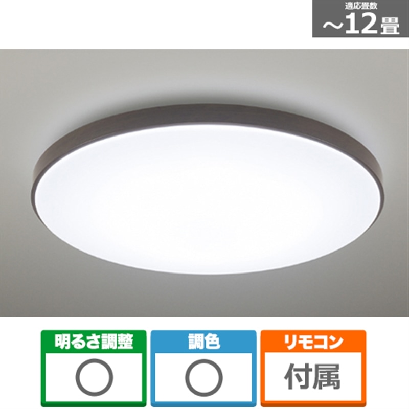 Panasonic�i�p�i�\�j�b�N�j&nbsp;�p���b�NLED�V�[�����O���C�g �J���[�t���[���V���[�Y�@�E�b�f�B�O���C��&nbsp;HH-CN1248A-T