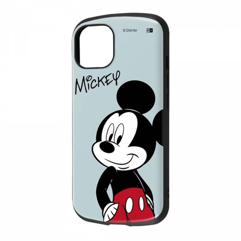 CAEg iPhone 14/13pP[X RT-DP36AC3/MK2