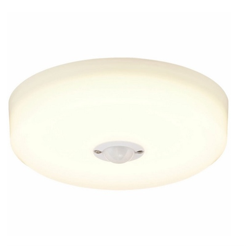 ACXI[} LED^V[OCg SCL20L-MS-HK