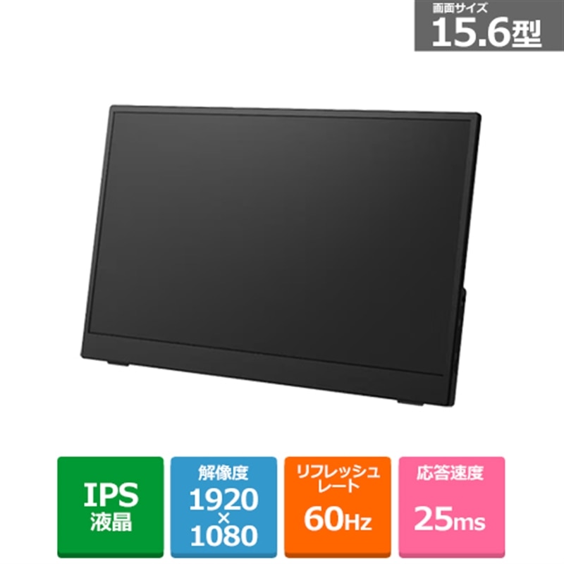 �A�C���X�I�[���}&nbsp;15.6�C���` �|�[�^�u�����j�^�[ �iLUCA)&nbsp;DP-GF166S-B
