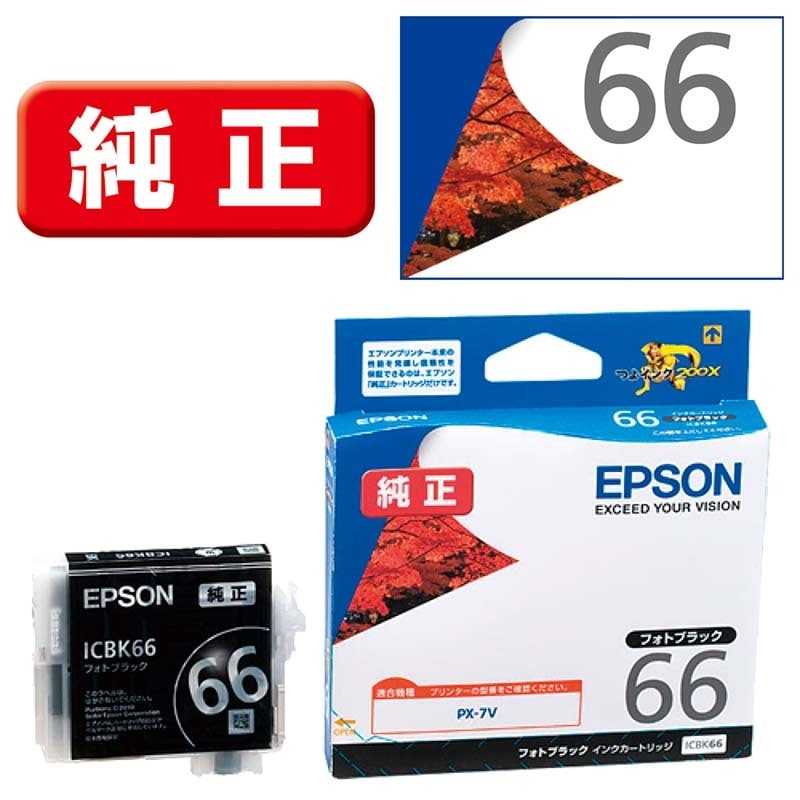 EPSONiGv\j CNJ[gbW ICBK66
