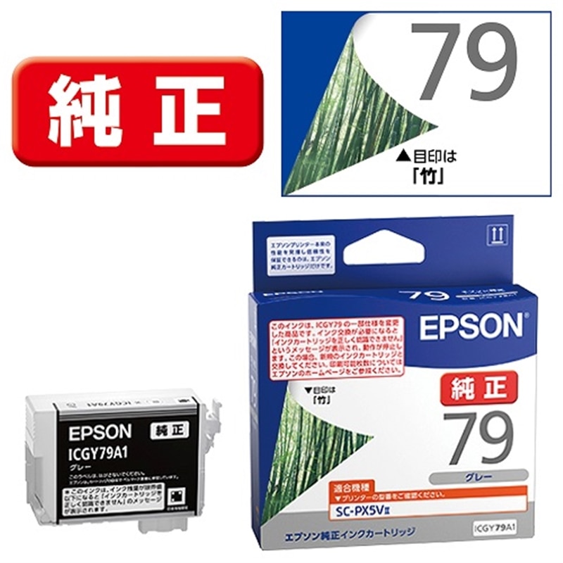 EPSONiGv\j CNJ[gbW ICGY79A1