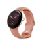 GA10902-US(Pixel Watch5)