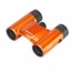 Classi-air 8X21DH MC-OR@IW