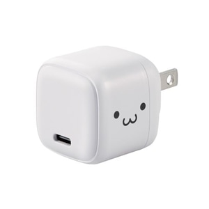 GR USB Power Delivery 20W AC[d(C×1) MPA-ACCP7320WF
