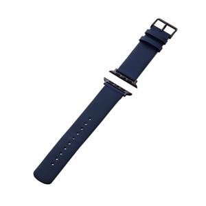 GR Apple Watchp \tgU[oh AW-45BDLNV