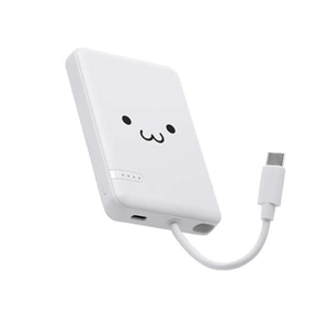 GR USB Type-C(TM)P[ũoCobe[(5000mAh/12W) DE-C62-5000WF