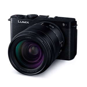 Panasonicipi\jbNj ~[XJ@LUMIX DC-S9 DC-S9H-K