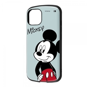 CAEg iPhone 14/13pP[X RT-DP36AC3/MK2