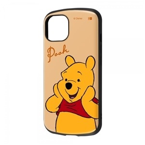CAEg iPhone 14/13pP[X RT-DP36AC3/PO2