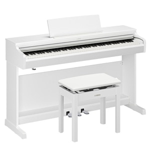 ���}�n&nbsp;�d�q�s�A�m�@ARIUS�i�A���E�X�j&nbsp;YDP-166WH