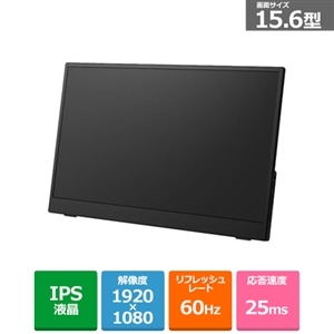 �A�C���X�I�[���}&nbsp;15.6�C���` �|�[�^�u�����j�^�[ �iLUCA)&nbsp;DP-GF166S-B