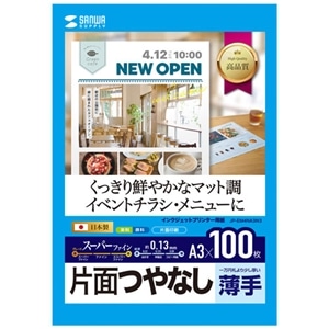 TTvC CNWFbgX[p[t@CpiA3E}bgEE100j JP-EM4NA3N3
