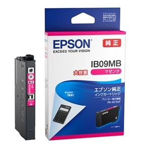 EPSONiGv\j CNJ[gbW IB09MB