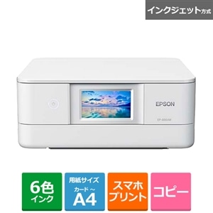 エプソン エプソン カラリオ カードケース付き ストラップ ネームカード ネックストラップ レア グッズ 未使用 EPSON Colorio プリンター パスケース