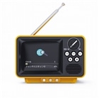 WINTECH 2.8C`t|[^uZOerig^j TVR-RT1 YL