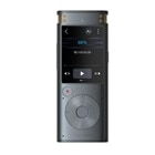 iFLYTEK�i�A�C�t���C�e�b�N�j&nbsp;���C�e�B���O���R�[�_�[�@VOITER SR302 Pro&nbsp;SR302PRO