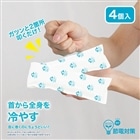 �O���[�o���W���p��&nbsp;�����O COLD PACK�@4����&nbsp;J44-08-2