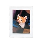 tWJ[ tHgX^h@k Lװڰ ܲ