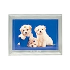 tWJ[ tHgX^h@k Lװڰ ر