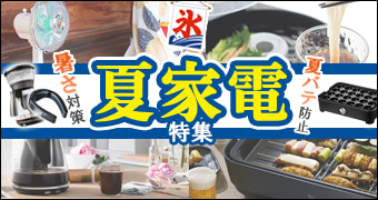 ケーズデンキ