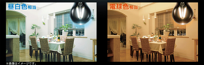 ACXI[} LEDtBgd 