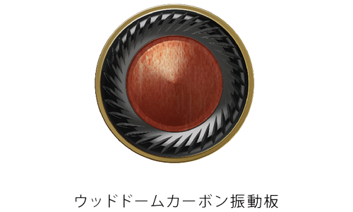 WOODシリーズ初の完全ワイヤレスイヤホン「HA-FW1000T」新発売